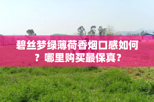 碧丝梦绿薄荷香烟口感如何？哪里购买最保真？